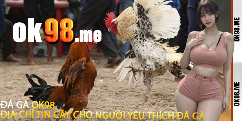 Đá Gà OK98: Địa Chỉ Tin Cậy Cho Người Yêu Thích Đá Gà