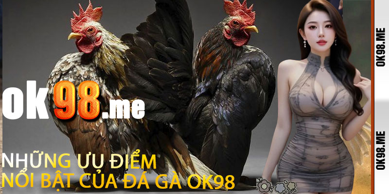 Những Ưu Điểm Nổi Bật Của Đá Gà OK98