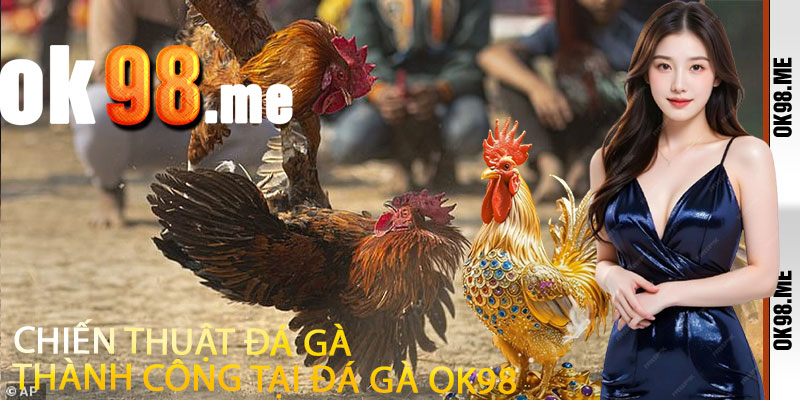 Chiến Thuật Đá Gà Thành Công Tại Đá Gà OK98